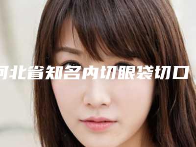 河北省知名内切眼袋切口医院-任丘洛凡医疗美容门诊部技术专业审美在线